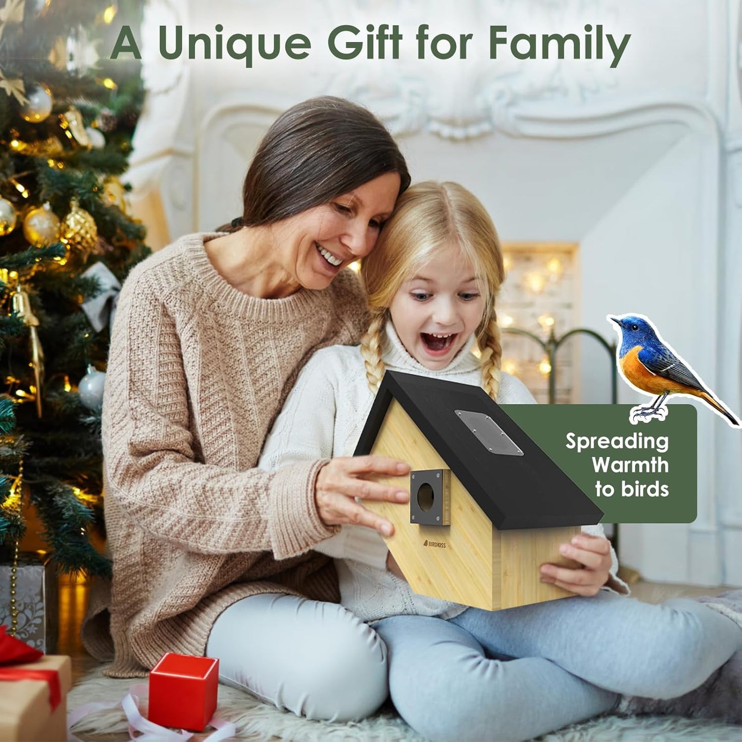 Birdkiss Smart Bird Houses for Outside Solar Powered, 1080P HD Live Vi