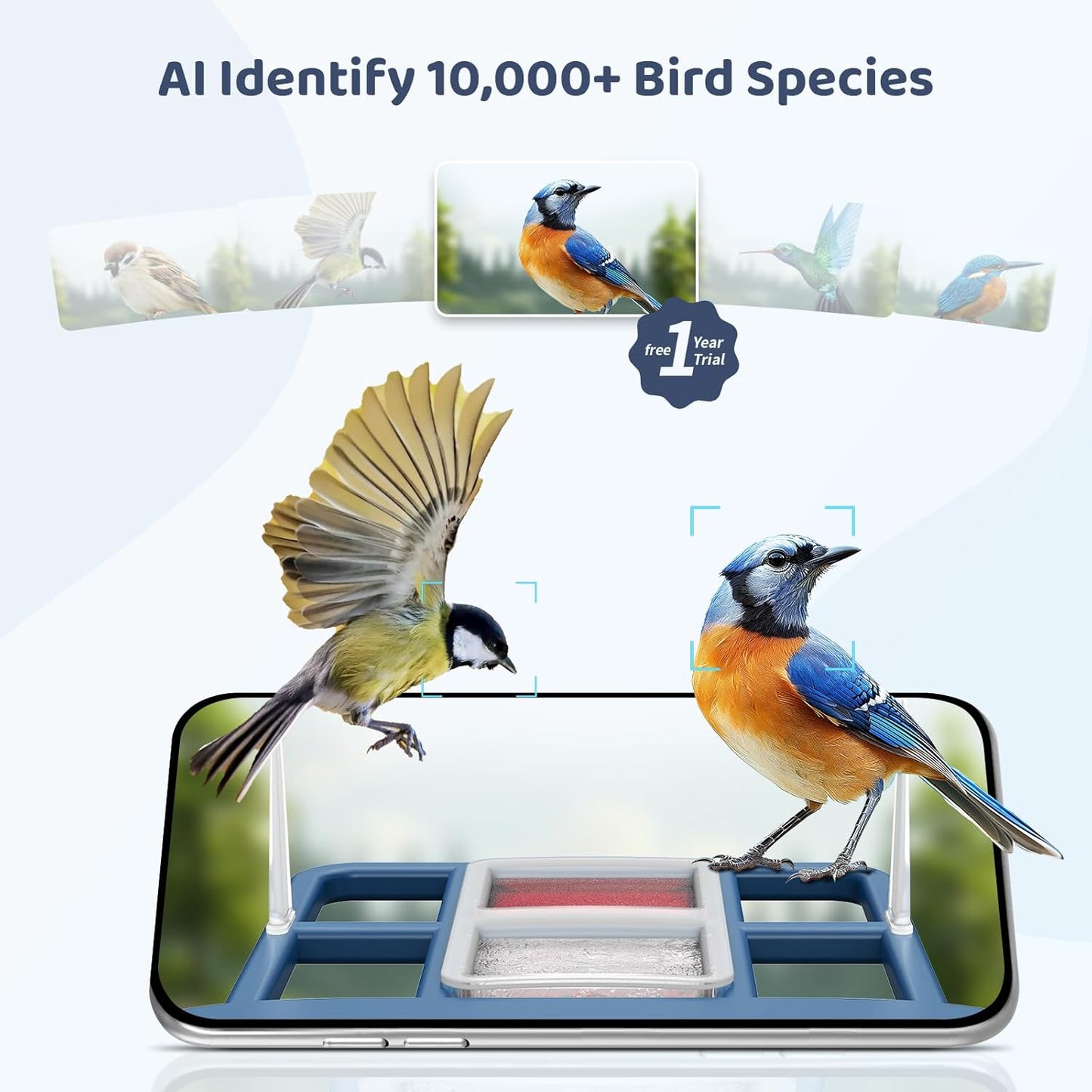LIWAN Bird Feeder with Camera Solar Powered, 1 Year Trial AI Identify, 2K Live Video, Smart Bird Feeder Camera Wireless Outdoors, 2.4GHZ WiFi, Instant Arrival Alerts, Ideal Gift for BirdLovers