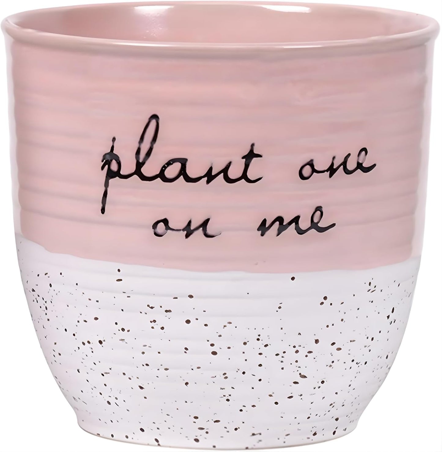 Blue Sky Clayworks Patricia 5" Flower Pot, Ceramic, 6" D x 5" H, Blush Script & Speckles