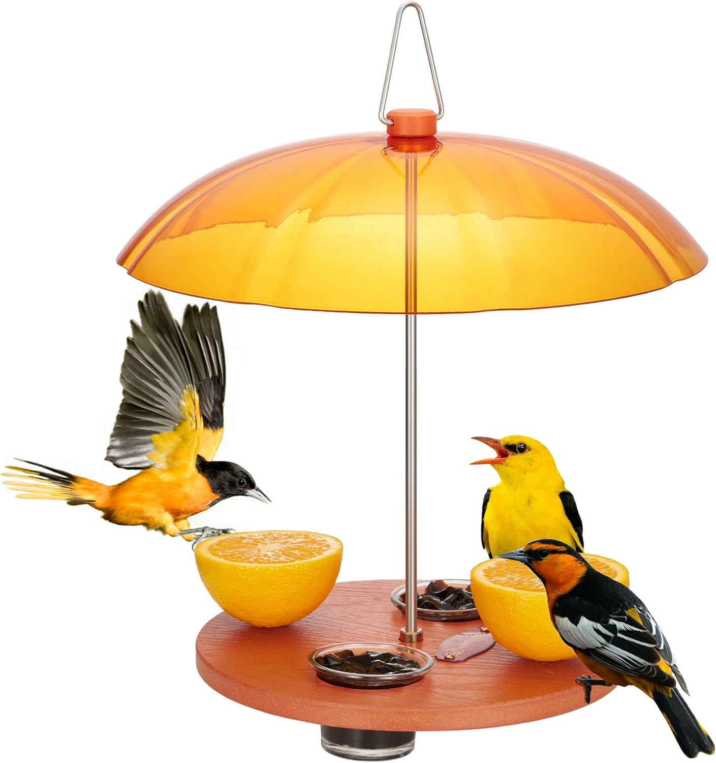 Kingsyard Oriole Bird Feeders for Outdoors Hanging, Double-Cup Jelly Platform Bird Feeder with Pegs for Orange Halves, Weather Protective Dome, Great for Attracting Orioles