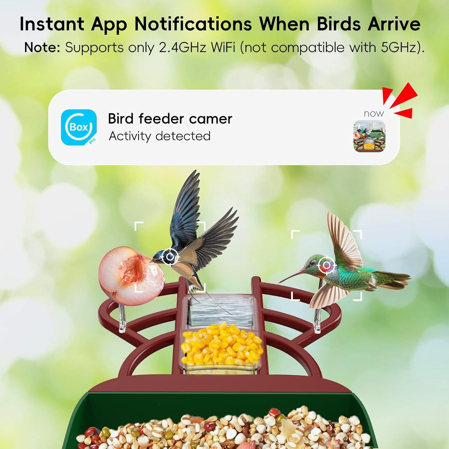 Smart Bird Feeder with Camera, Solar Panel & 5200mAh Battery, 4K HD Video, AI Identification, Instant Arrival Alerts & Alarm, IP65 Weatherproof, 32GB Card, 2L Capacity, for Bird Lover (Red Green)