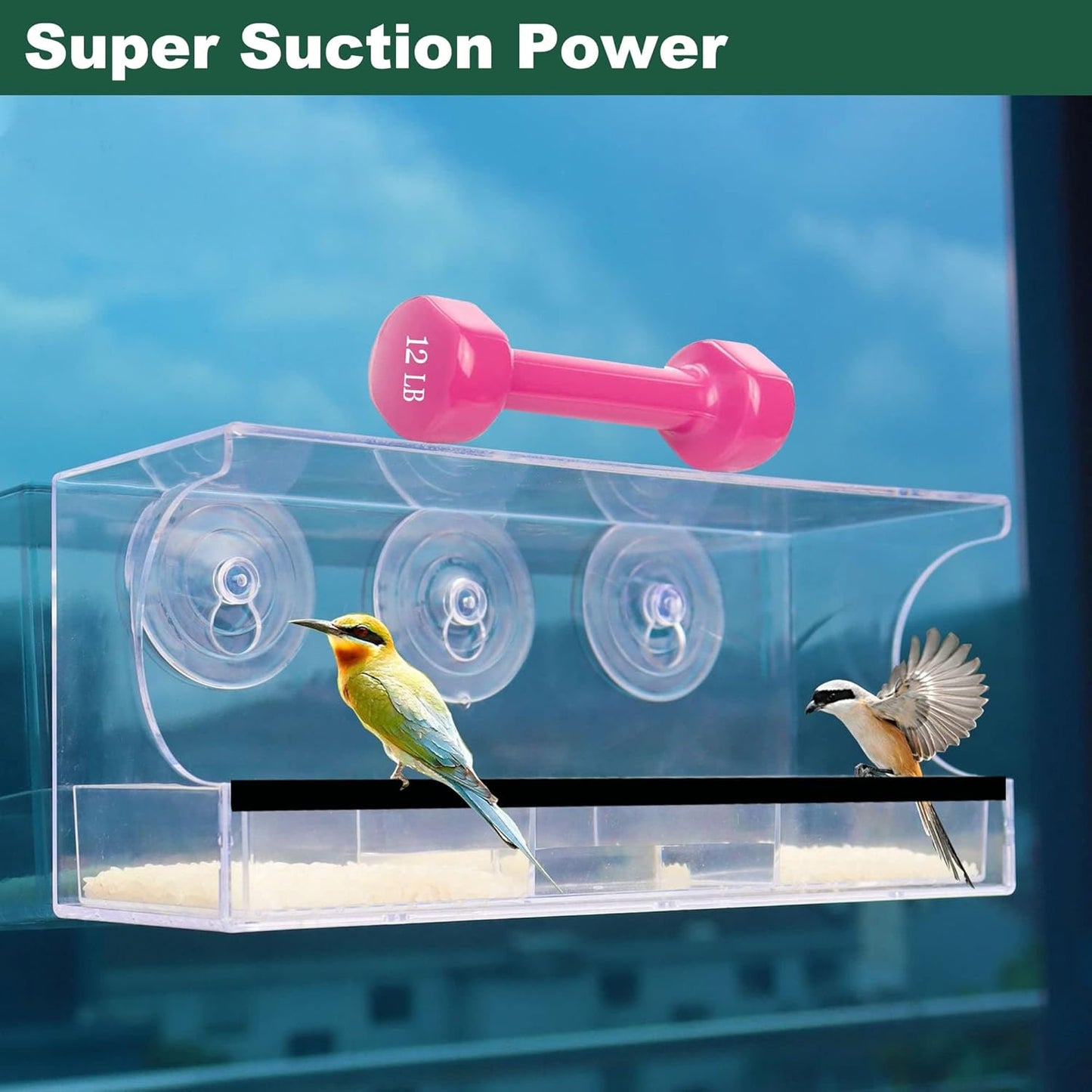 Window Bird Feeder with Strong Suction Cups, Large Clear Window Bird Feeders for Outside, Transparent Viewing Acrylic Birdfeeder for Wild Birds, Removable Seed Tray with Drain Holes, Easy to Clean.