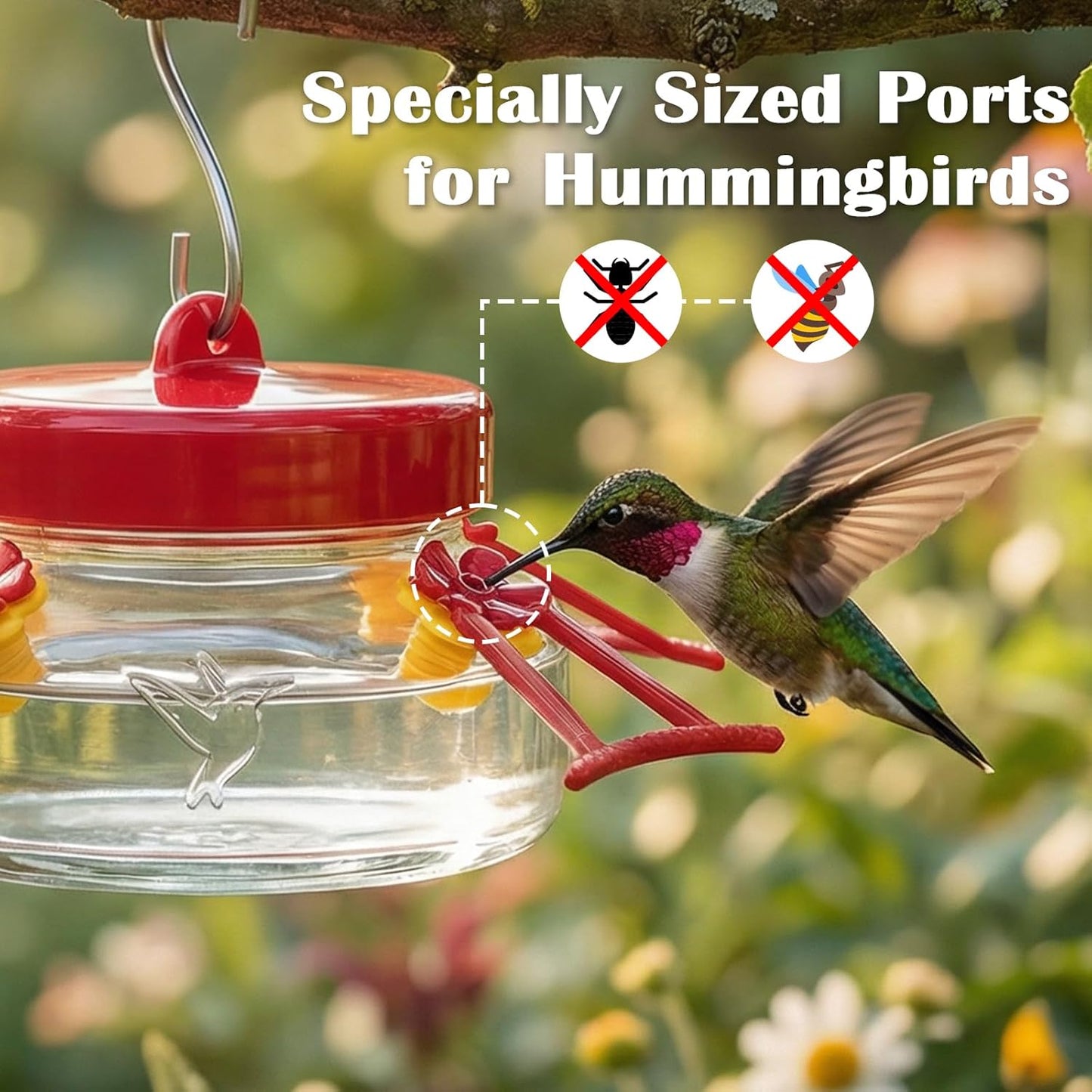 6 OZ Glass Hummingbird Feeders for Outdoors Hanging 2 Pack,Mason Jar Hummingbird Feeder with 4 Flower Feeding Ports and Perches,Easy to Clean and Refill,Decoration,Transparent