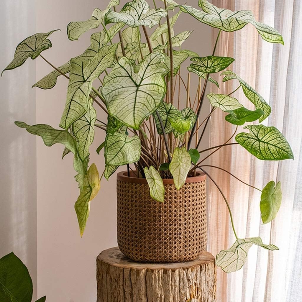 Planter Flowerpot Planter Pots Unique Plant Pots Concrete Imitation Rattan Planter Large Planters Outdoor Garden Decor 4.9" 6.3" 13" Tall(26x26x23.5cm)