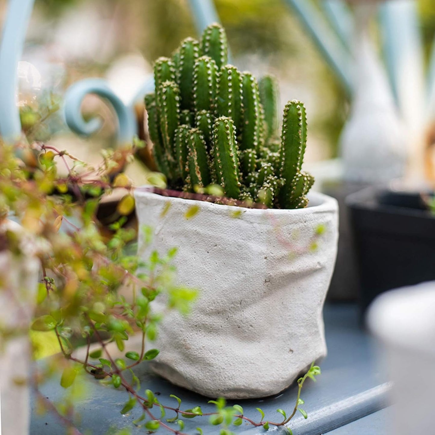 Flower Plant Pot White Succulent Planter Plant Pots Ceramic Indoor Out