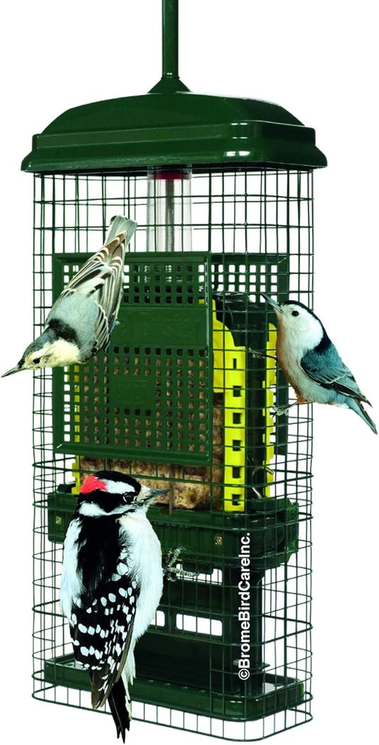 Squirrel Buster Suet Squirrel-Proof Suet Bird Feeder w/2 Suet Cake Tra