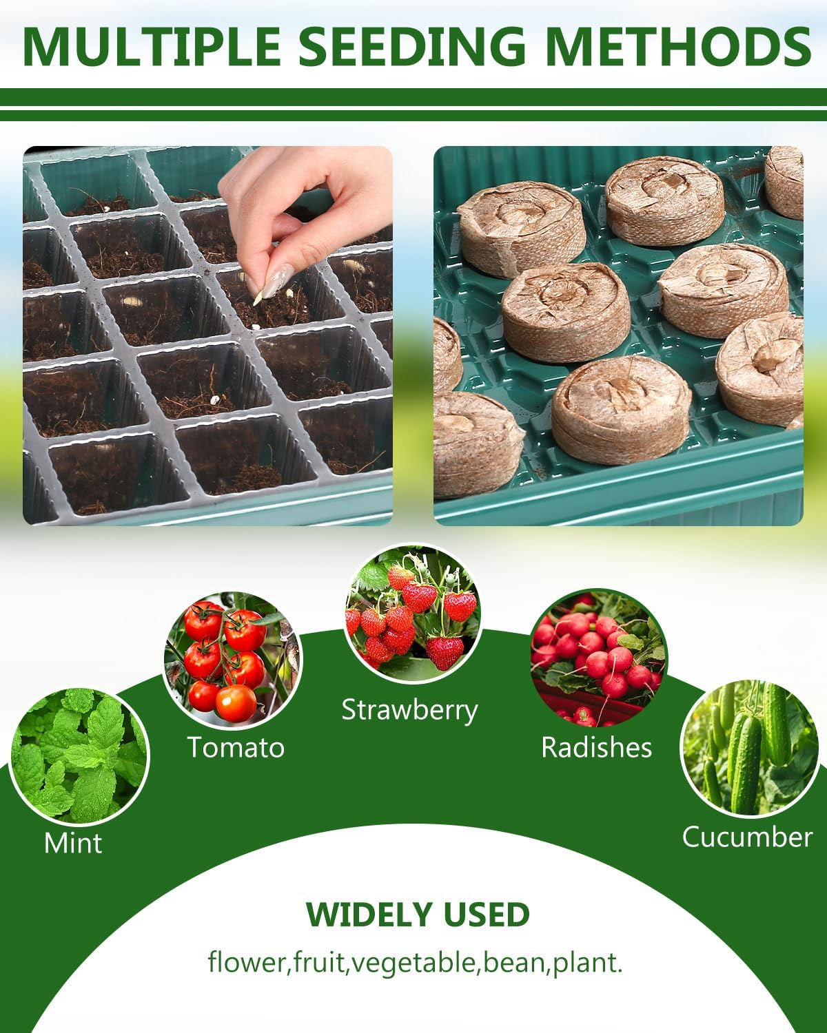 joyhalo 40 Cell Seed Starter Kit with Grow Light and Graphene Heating 