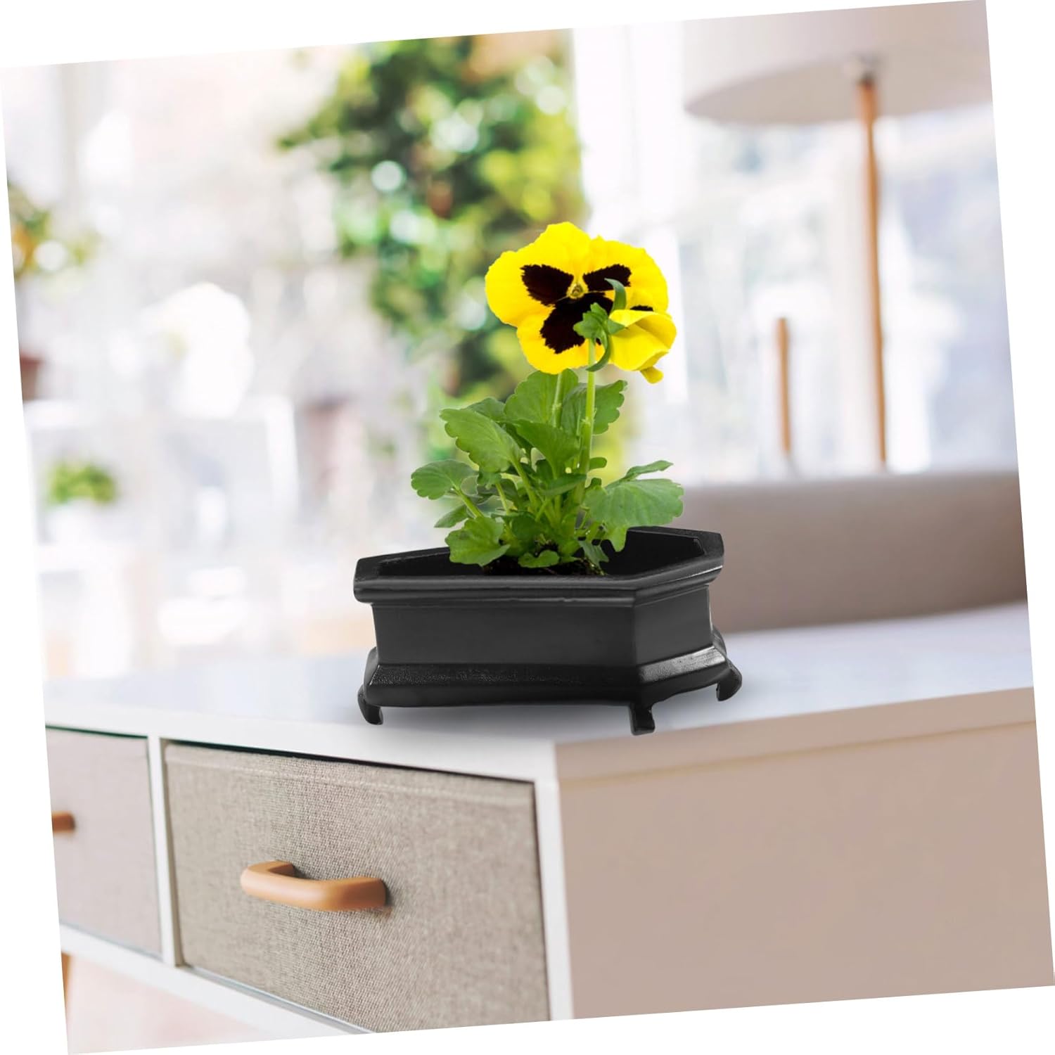 Coffin-Shaped Decorative Planter for Plants Vintage Flower Pot for Dec