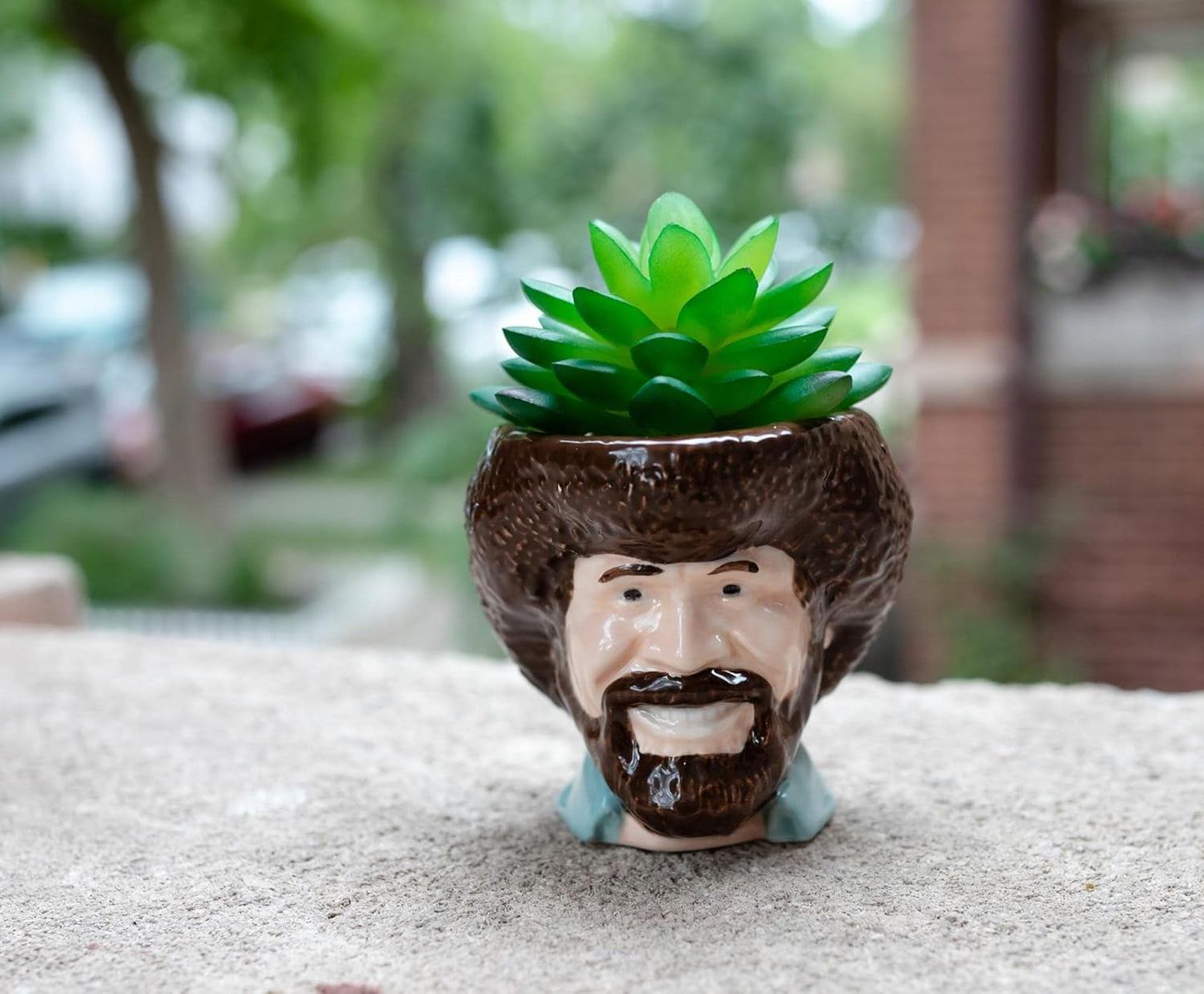 Toynk Bob Ross Mini Ceramic Planter with Artificial Succulent | Small Flower Pot, Faux Indoor Plants for Desk Shelf, Decorative Tray Trinket Dish | Home Decor Gifts and Collectibles