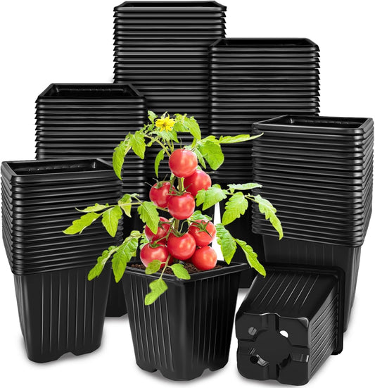 Anyumocz 100Pcs Square Plant Nursery Pots,3.5 Inch Plastic Pots with D