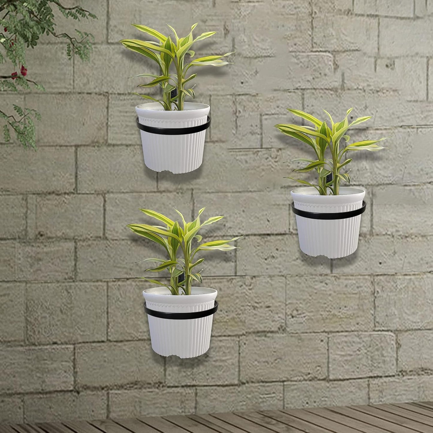 4 Inch Wall Mounted Metal 6 Pack Hanging Plant Stand, Plant Hangers Outdoor for Flower Plant Herb
