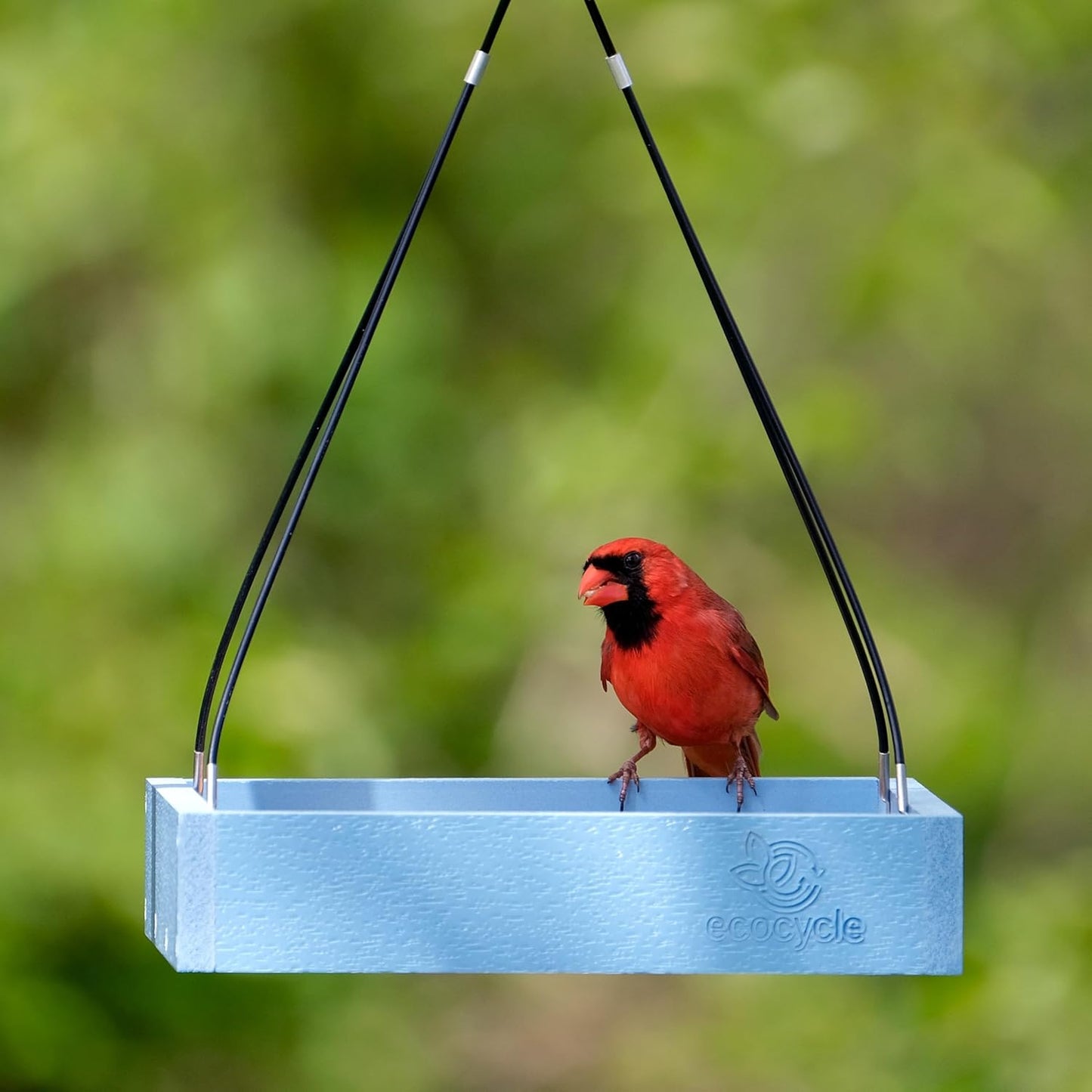 Perfect Picnic Recycled Plastic Bird Feeder with Fresh Seed Tray for Wild Birds and Outdoor Décor, Hanging Tray Feeder, 1.5 Quart Capacity, Blue