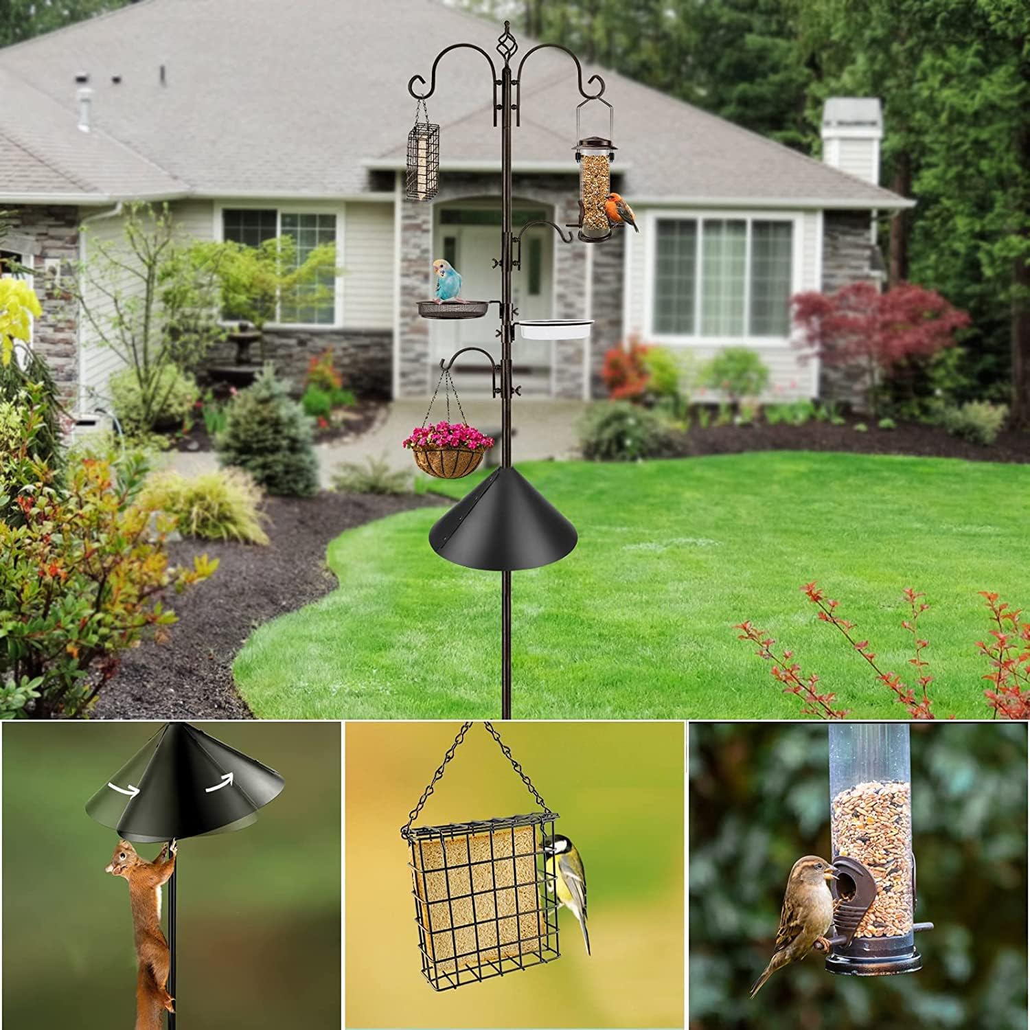 Bird Feeding Station Kit with Squirrel Baffle and Suet Cage Wild Bird 