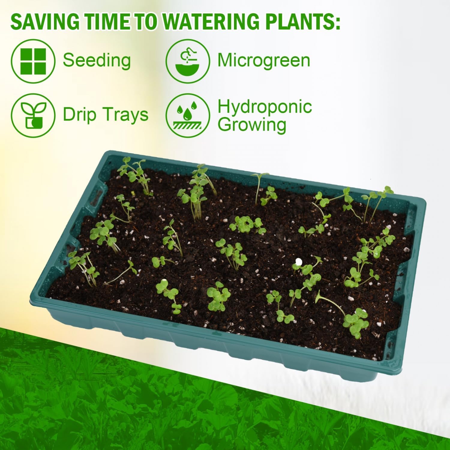 YoleShy 10 Pack Seed Starter Tray Reusable Plastic Plant Seedling Star