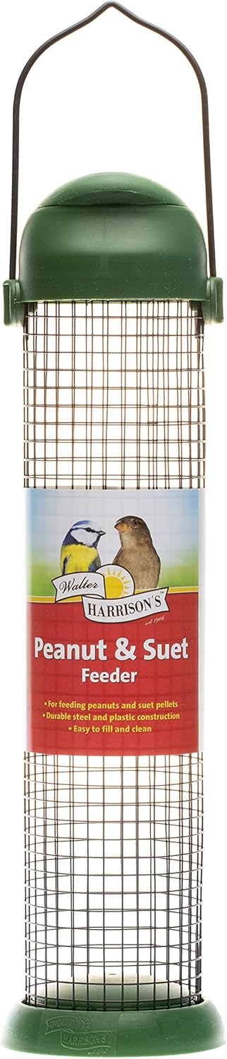 Walter Harrison's Wild Bird Flip Top Green Hanging Peanut Feeder - Lar