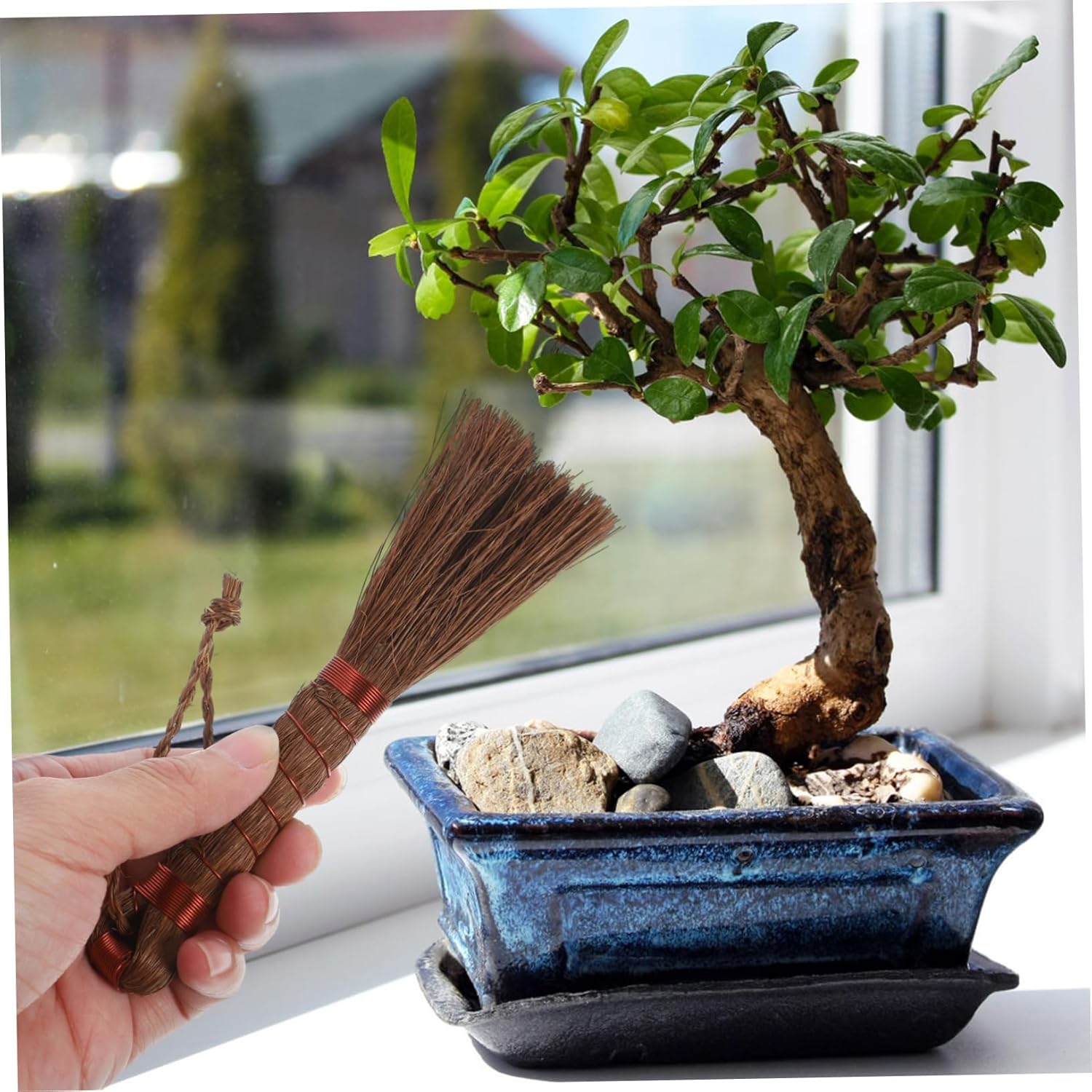 Milisten Gardening Brush Bonsai Cleaning Broom Palm Scrub Brush Multi-