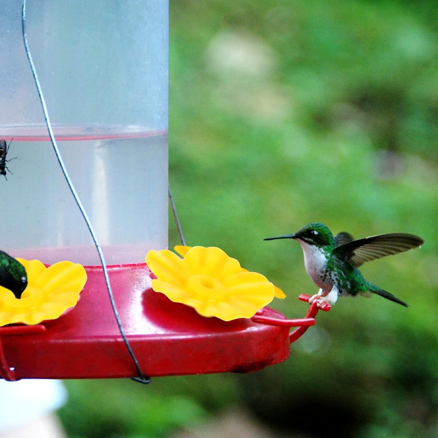 10PCS Hummingbird Feeders Replacement Flowers, Flowers Bird Feeder Rep