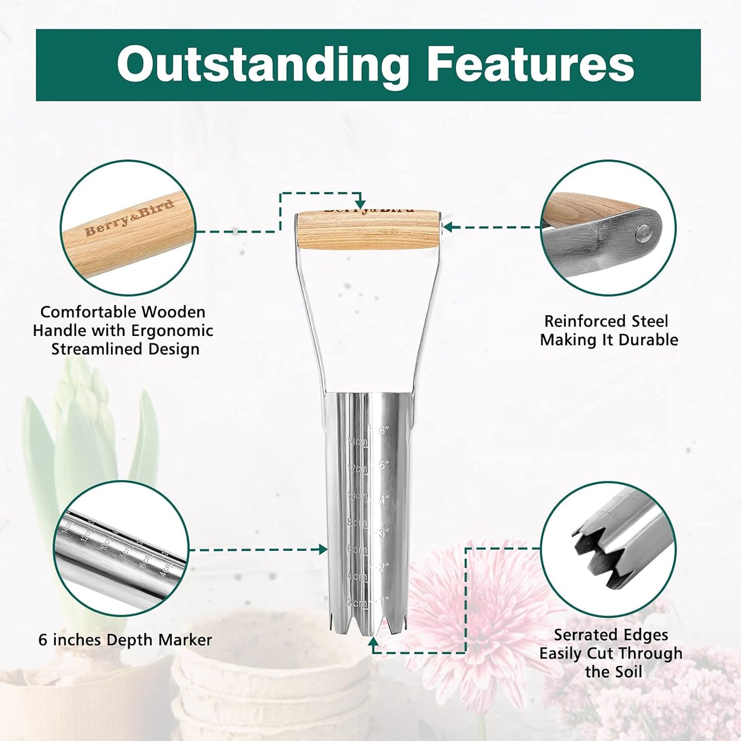 Berry&Bird Garden Bulb Planter with 6 inches Depth Mark, Garden Bulb Transplanter Tool with Wooden Handle, Stainless Steel Soil Release Tool for Transplanting Digging Planting Flowers
