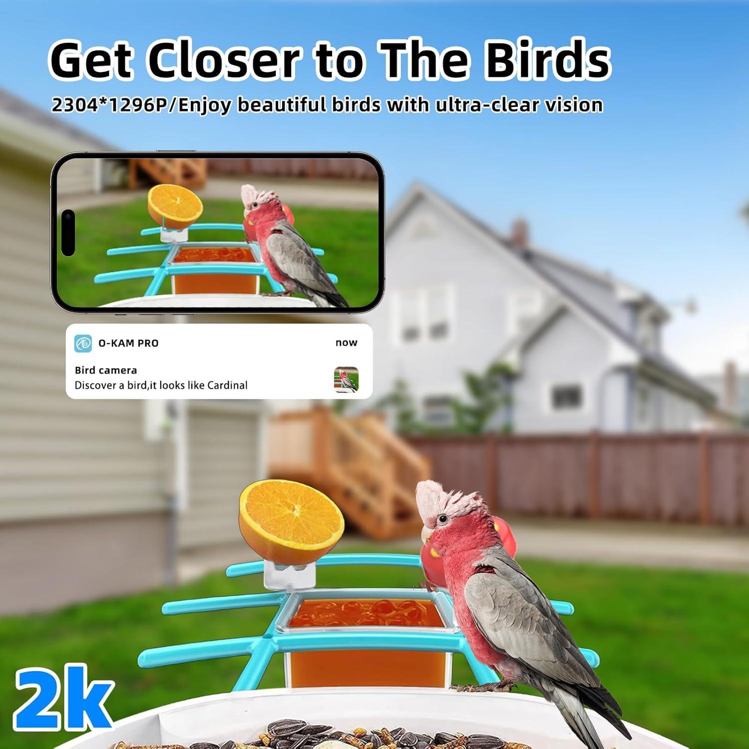 2K Smart Bird Feeder with Camera, 2.5L Ai Smart Bird House for Outdoor