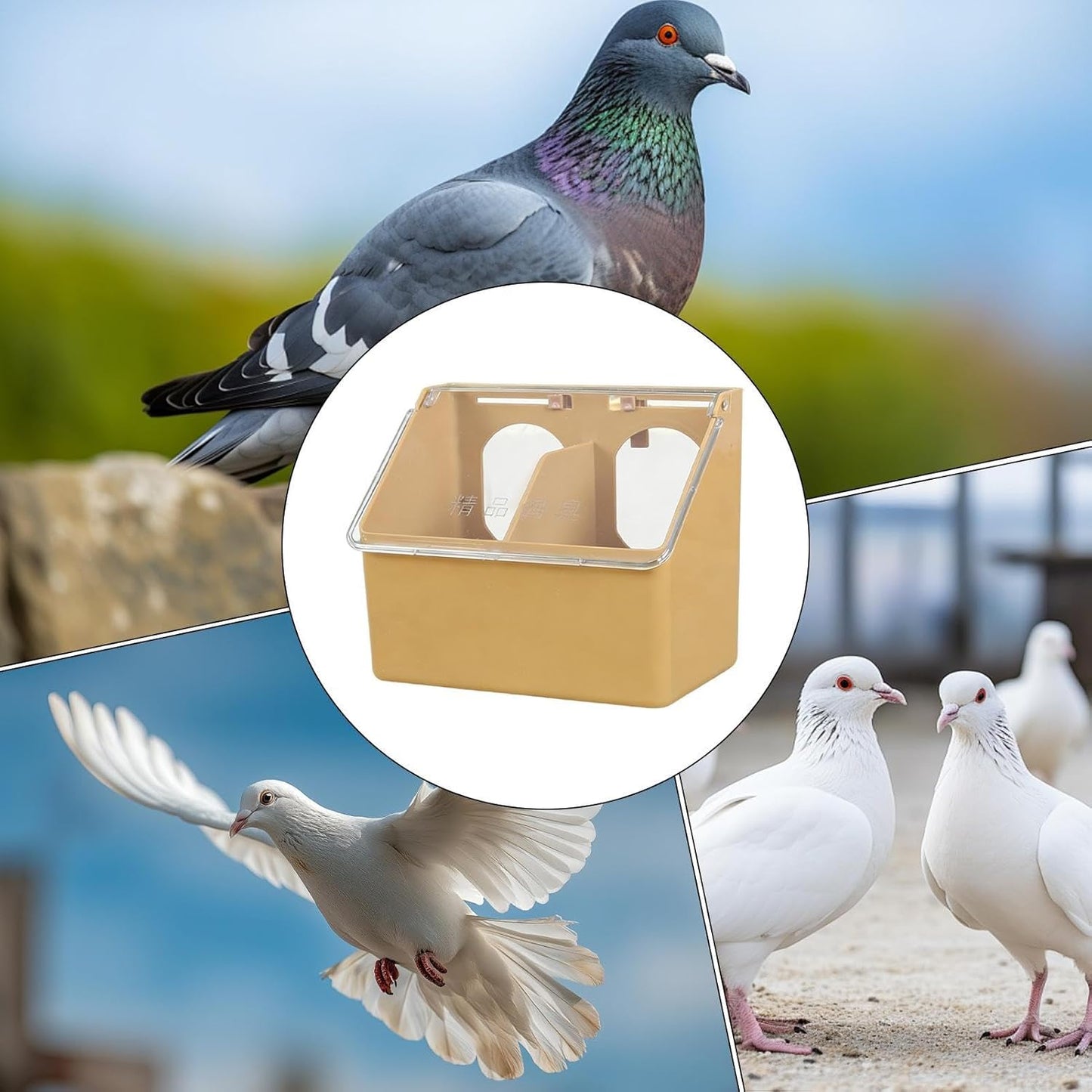 Pigeon Feeder - Sturdy Large Capacity Dispenser, Bird Feeding Box 16x14x9.5cm with Secure Design for Parakeet, Parrot, Chicken, Quail, Poultry Indoor Outdoor Backyard Garden Farm