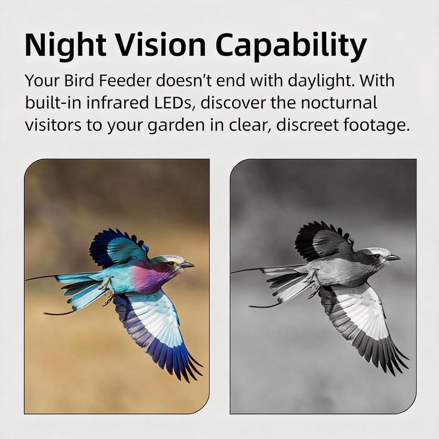 AI-Powered Smart Bird Feeder with Camera & Bird Bath with Solar Powered Circulating Pump, Identifies 10000+ Bird Species, 2K Live Stream & App Alerts, Weatherproof Garden Decor & Bird Watching Gift