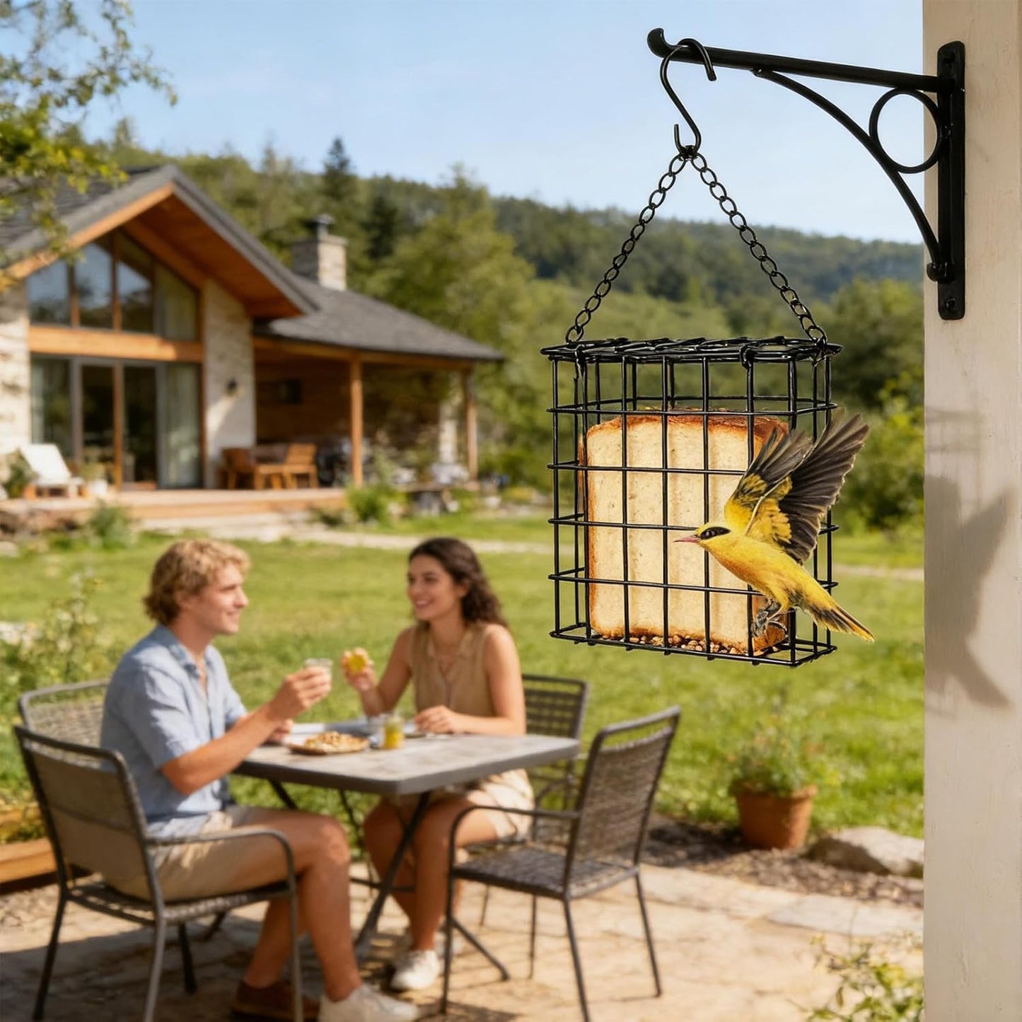 Bird Feeder - Wire Mesh Suet Cage, Hangable Feeding Dispenser with Des