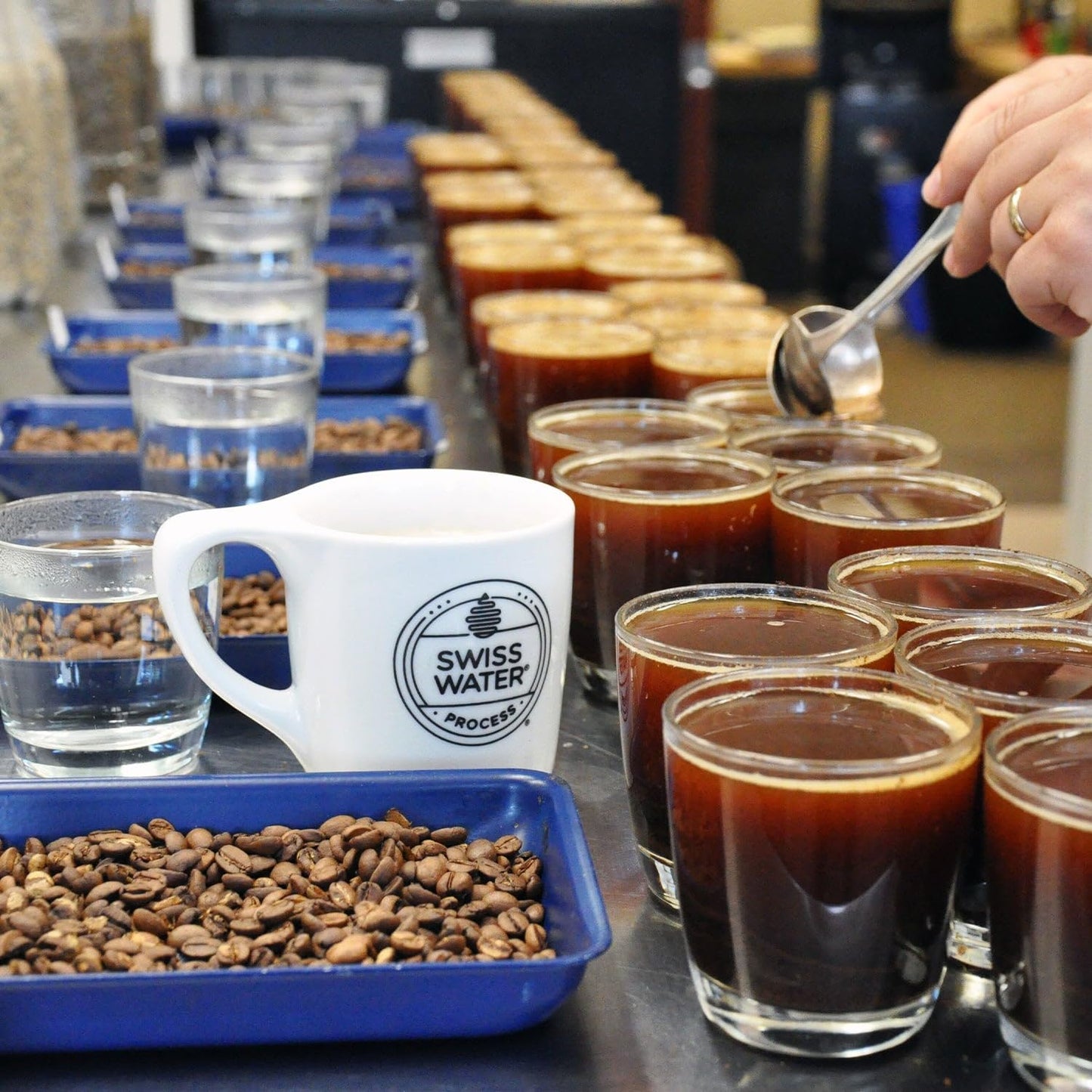 Verena Street 11 Ounce Ground, Swiss Water Process Decaf Coffee, Sunday Drive Decaffeinated, Medium Roast Rainforest Alliance Certified Arabica Coffee