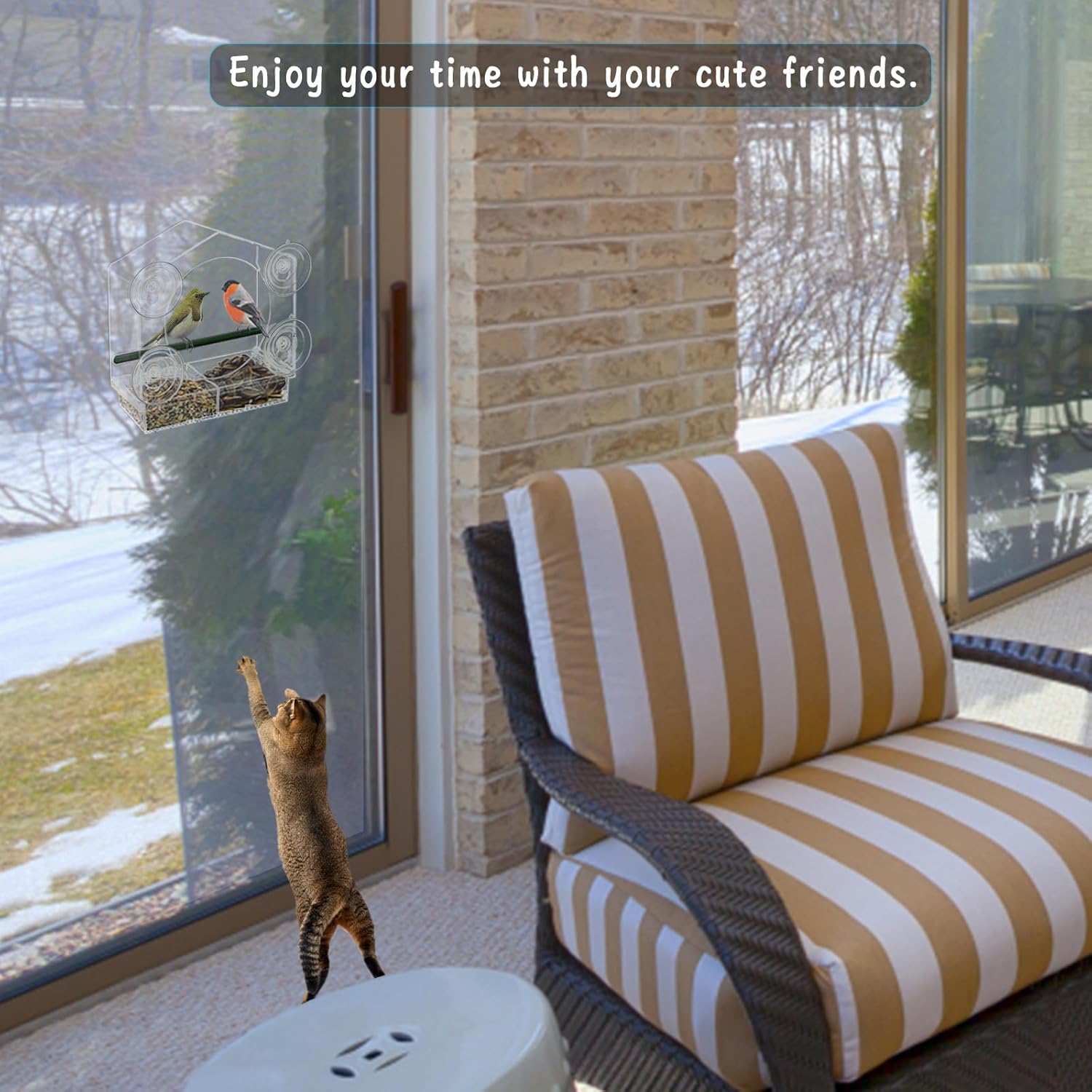 Acrylic Window Bird Feeder with 4 Strong Suction Cups, Clear and Trans