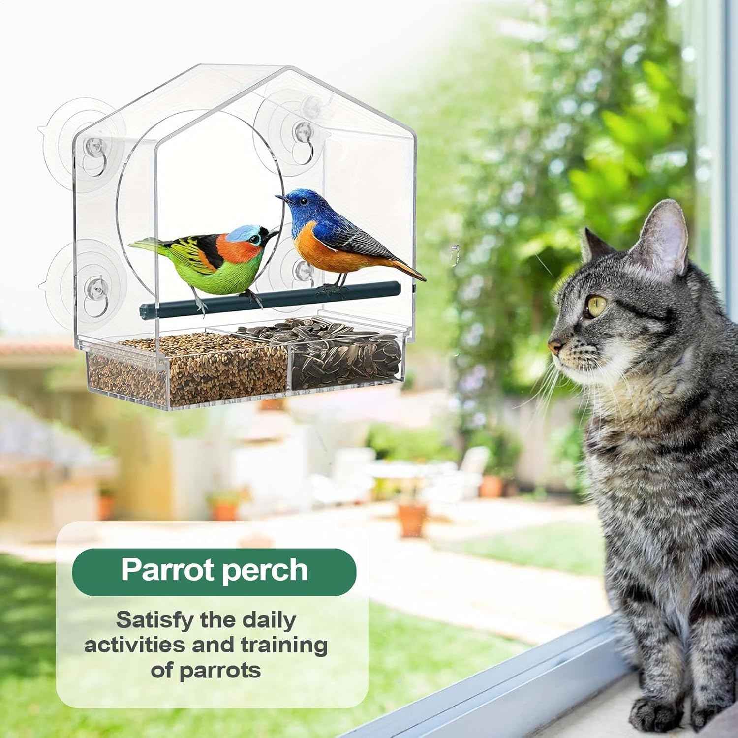 Bird Feeder Suction Cup Window – Spill-Proof Food Box | Acrylic Detach