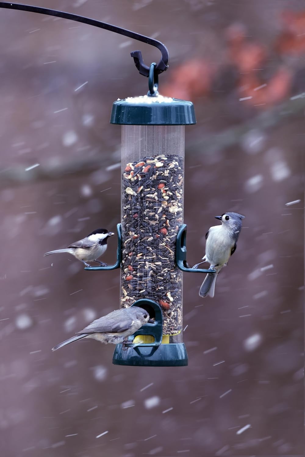 Brome Tube 150 Wild Bird Feeder, Metal, 4 Seed Ports, 2.6 lb Capacity, Extra-Wide Perches, Easy to Fill & Clean, Pole-Mountable, Seed Tray Available