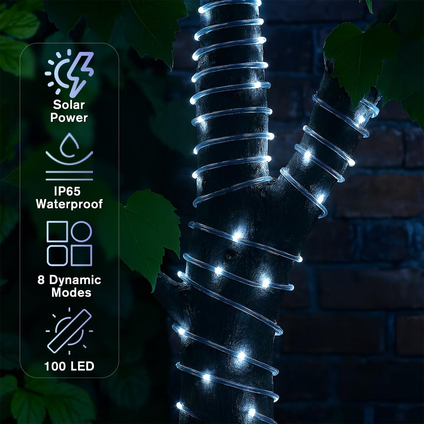 ANJAYLIA 33FT 100 LED Solar Rope Lights Outdoor Waterproof, Solar Powered Rope String Lights with 8 Modes for Outdoor, Patio, Garden, Camping, Holiday & Christmas Décor Cool White