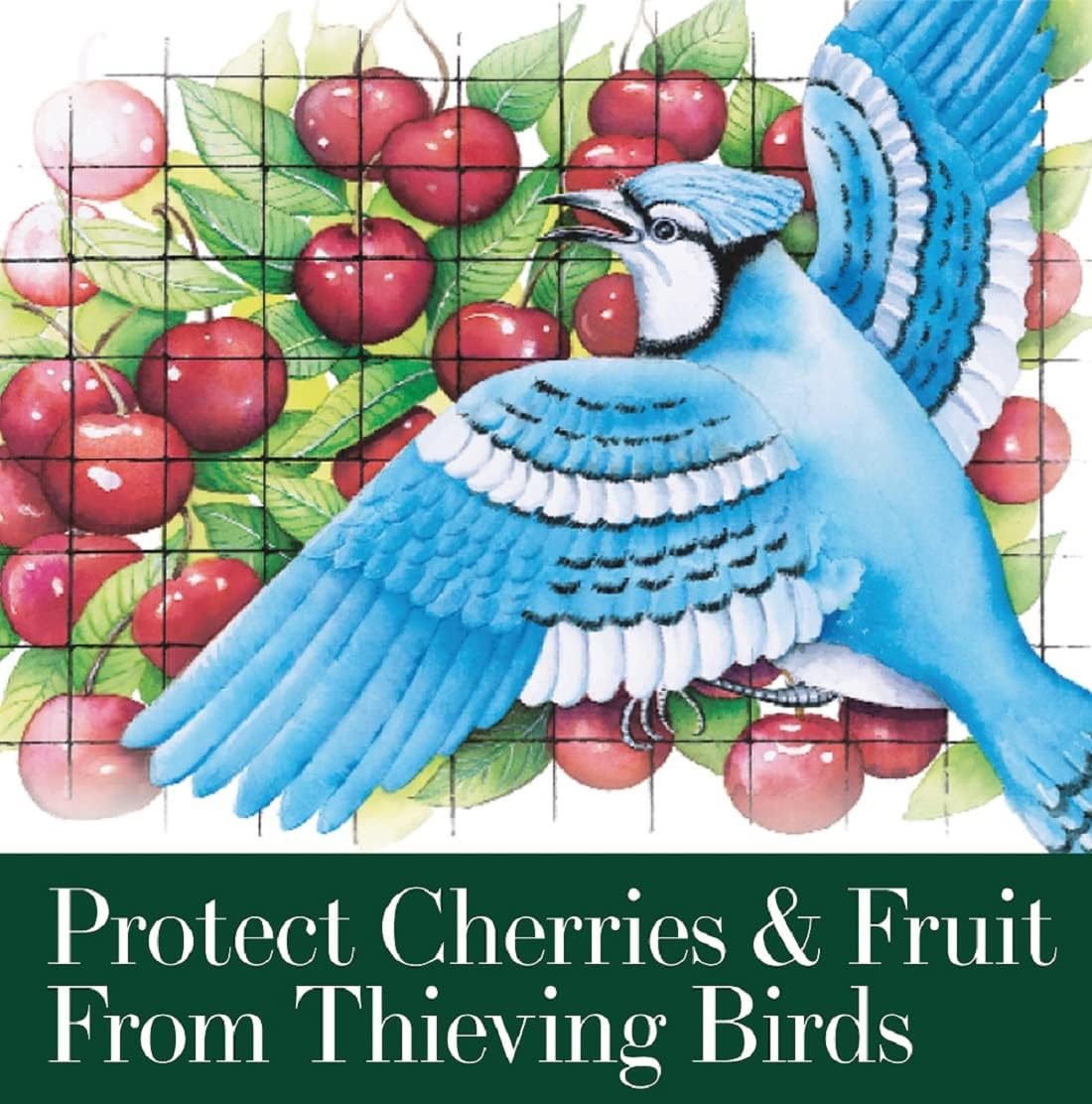 Dalen Bird X Protective Mesh Netting - Keep Birds and Pests Away from Your Garden – Non Toxic - Made in The USA - 7' x 20'