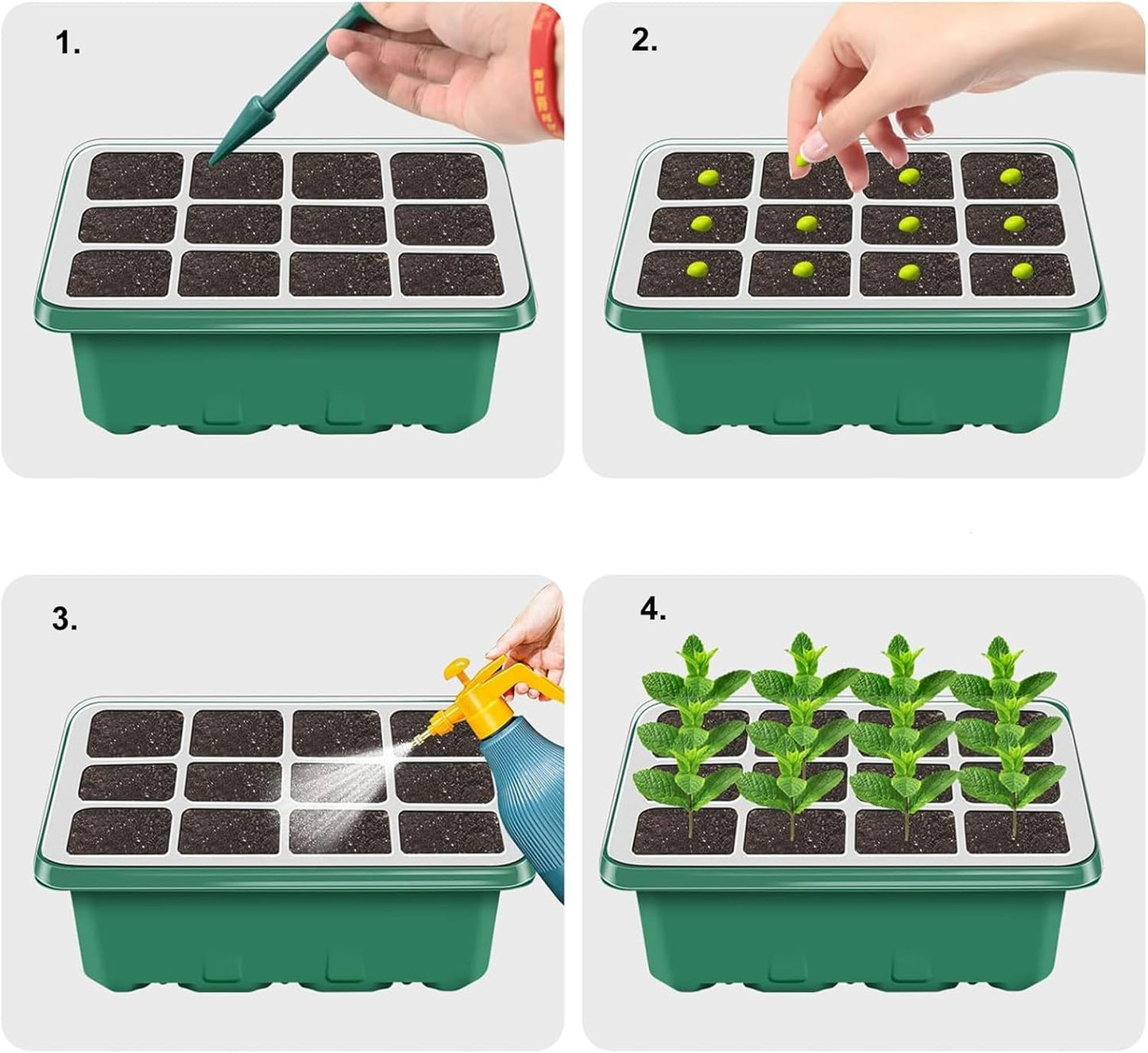 NBPLUS Seed Starter Tray with Grow Light, 5 Pack 60 Cells Seed Starter