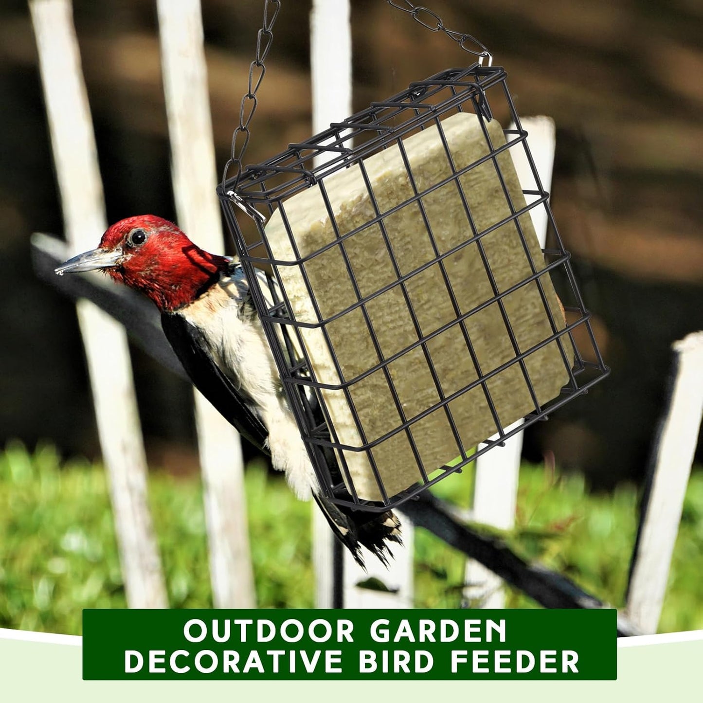 Zhehao 6 Pcs Suet Bird Feeders Outdoor, Hanging Wild Bird Feeder with Single Cake Capacity, Weatherproof Metal Suet Feeder for Garden Yard Outside Decoration, Easy to Clean & Hang (Black)