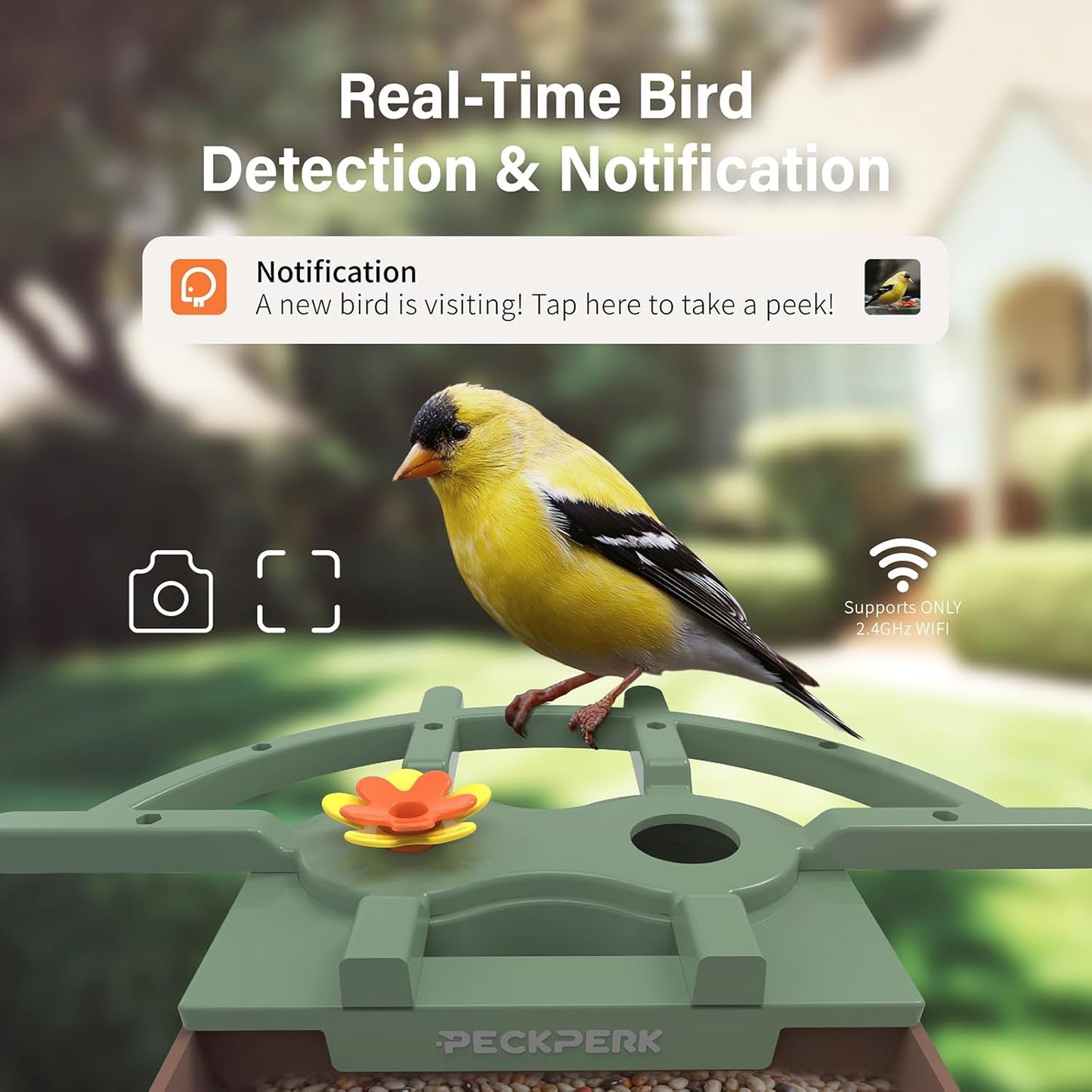 Smart Bird Feeder with Camera Solar Powered Outdoor - 2K HD Live Video