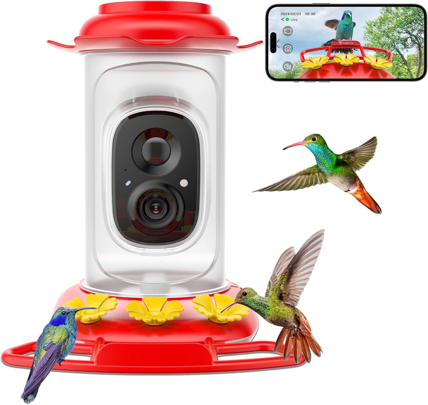Hummingbird Feeder with Camera: Auto Capture & AI Bird ID, Wide Mouth 
