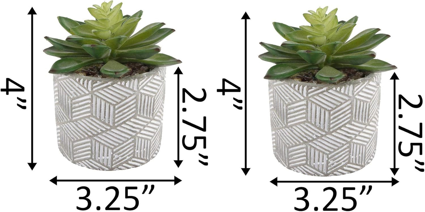Flora Bunda Mid Century Artificial Plants Cactus Set of 2 Artificial Succulent in 3" Cement Pot Grey Planter, 2 Fake Potted Plants, for Home Office Decorations