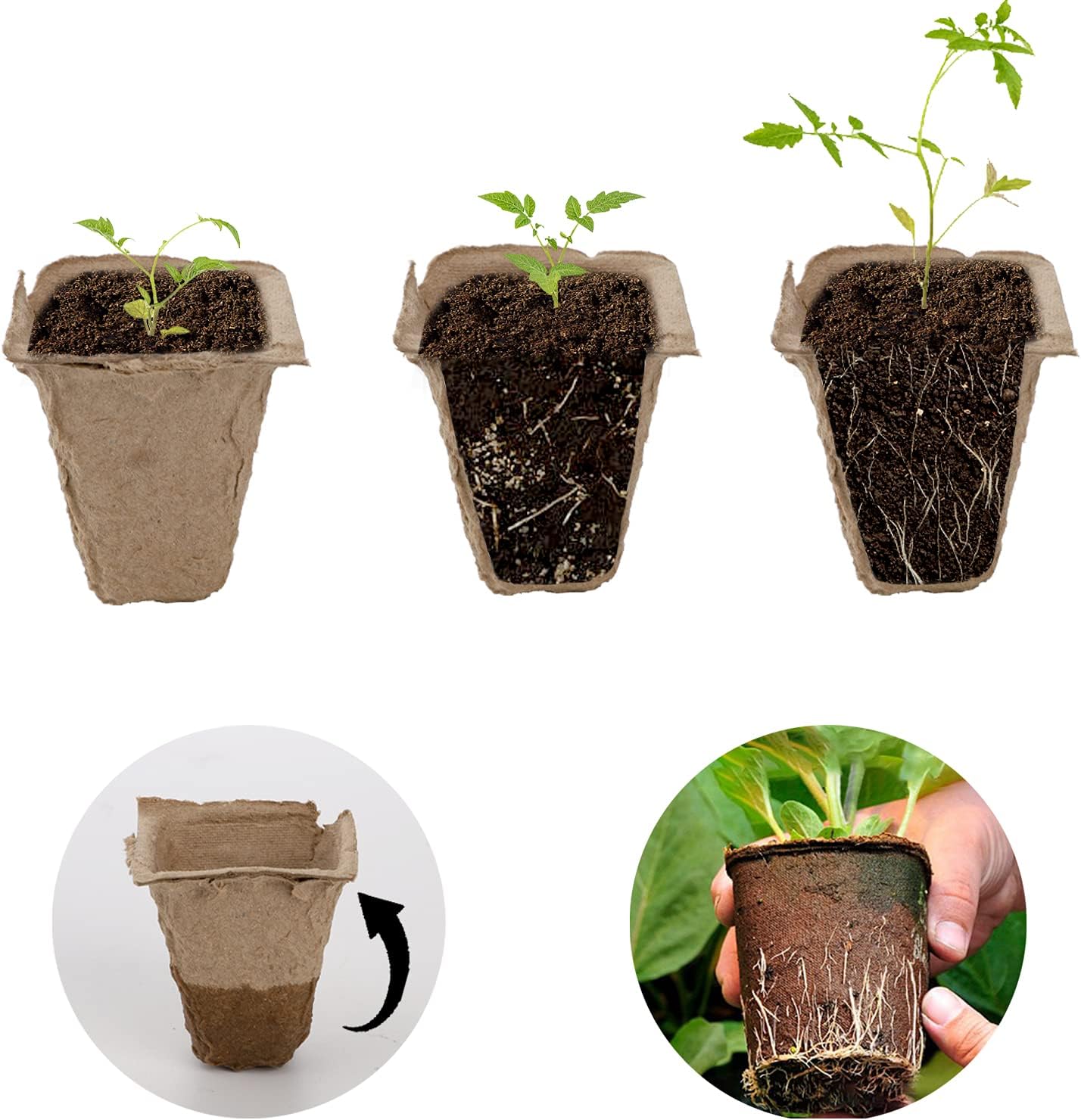 Jucoan 40 Pack Peat Pots Seed Starter Trays, 480 Cells Germination See