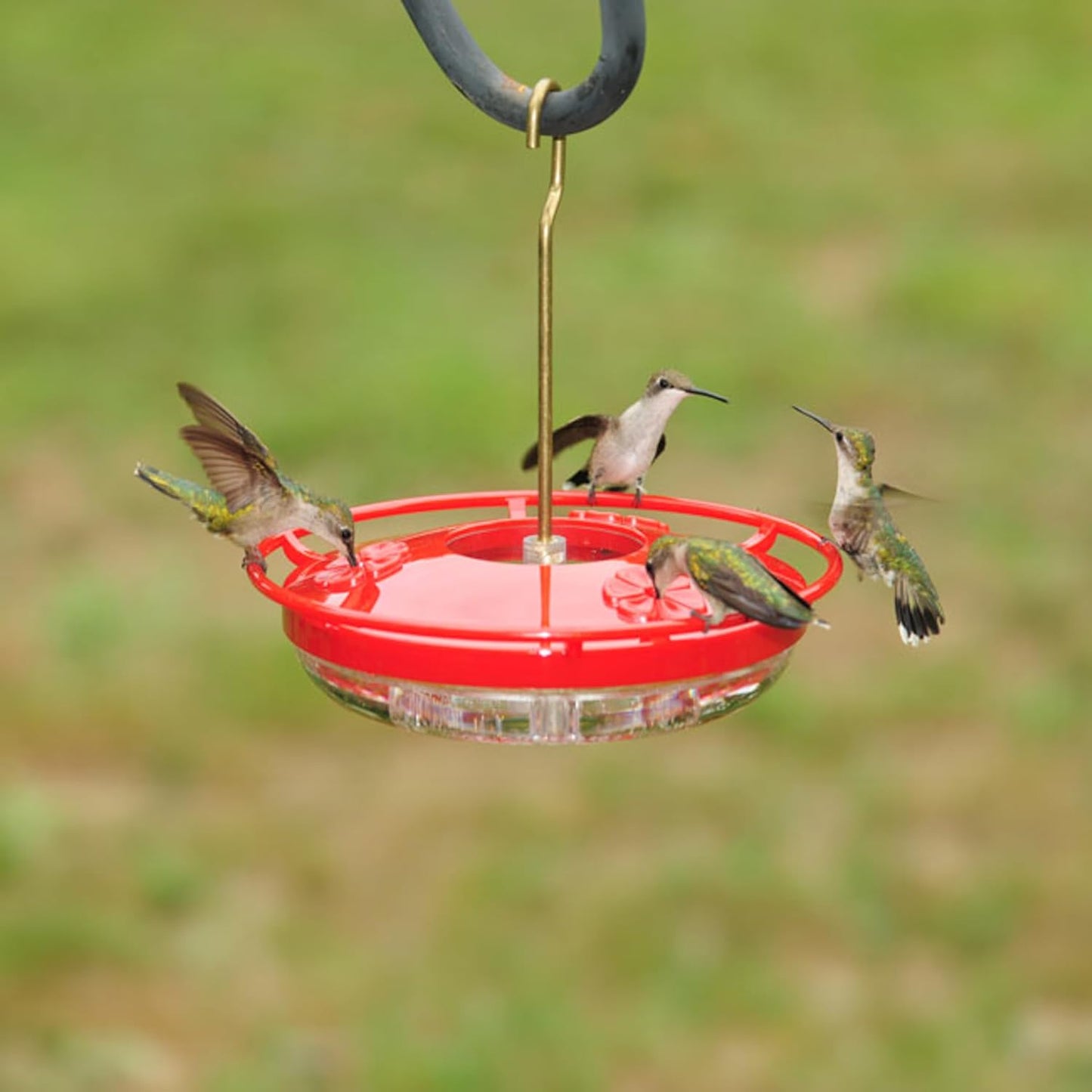 Aspects 430 Hummzinger Highview Mini Hummingbird Feeder, Red/Clear, 8 oz