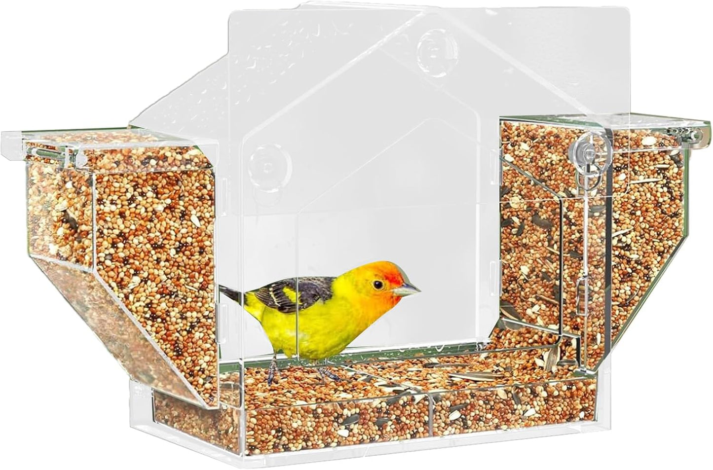 Bird Feeder for Window - Suction Cup Clear Yard Feeding Box | Squirrel