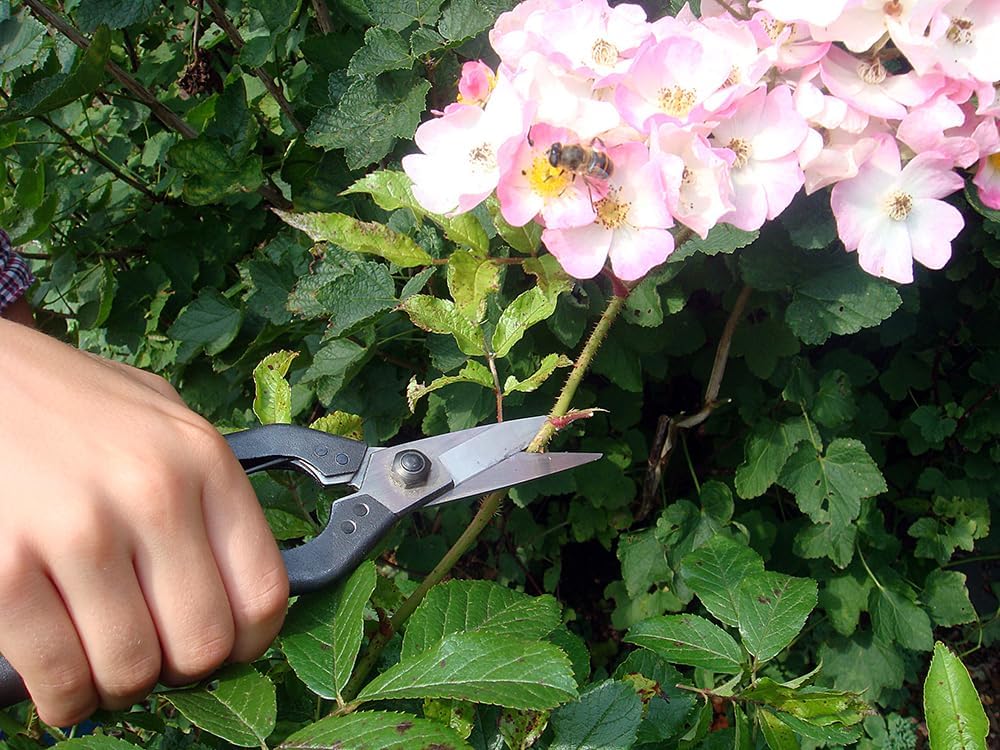 Okatsune Professional Snips, No.207 (Standard Version)