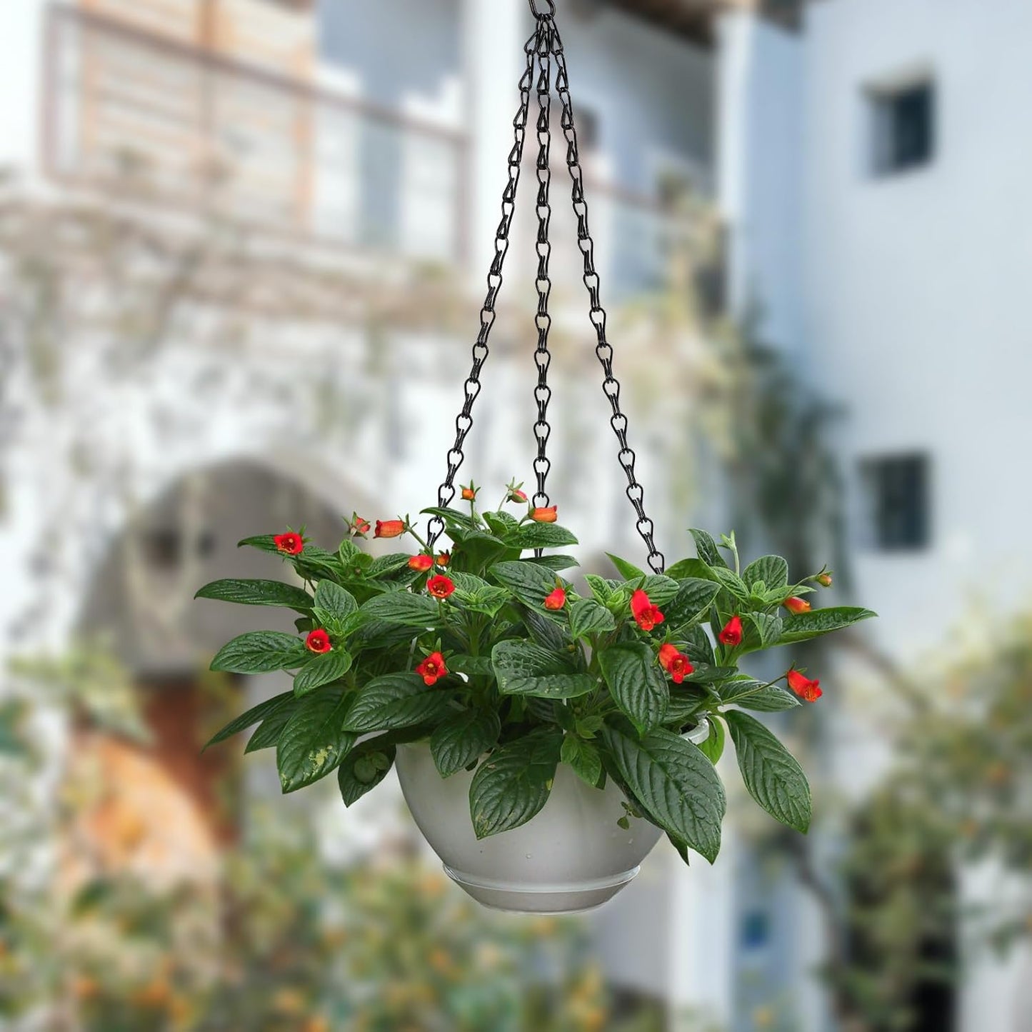 12 Pcs Adjustable Hanging Chains with S Hooks,10 Inch Black Metal Plant Hanger Chain for Hanging Baskets, Bird Feeders, Lanterns, Wind Chimes (Comes with 12 Replacement Metal Plant Hooks)