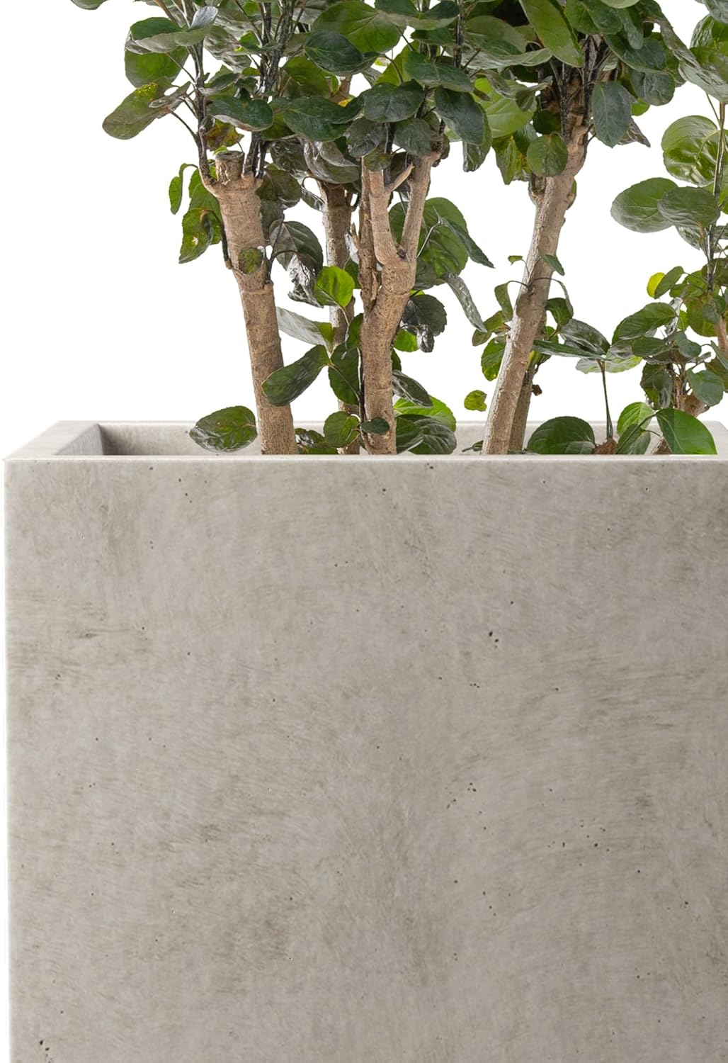 Kante 12.6" H Tall Rectangular Concrete Planters, Outdoor Indoor Light