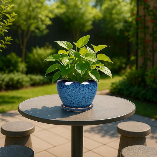 Deep Dream 6 Inch Plant Pots- Ceramic Planter Pot with Drainage Hole a