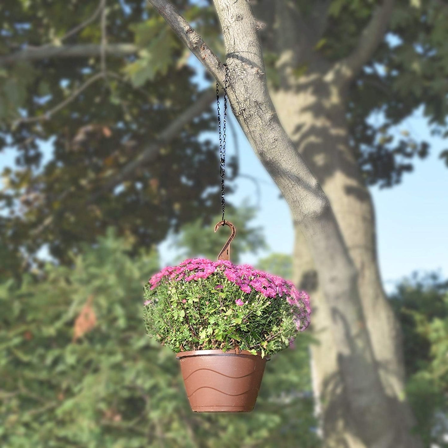 35 Inch Hanging Chain for Bird Feeders, Planters, Suet Baskets, Fixtures, Lanterns, Ornaments and More