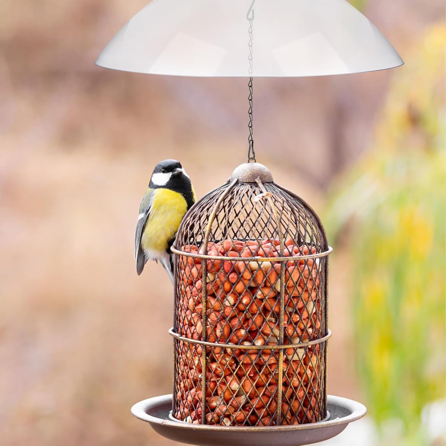 2 Pcs Bird Feeders Protective Cover Clear Squirrel Baffle Bird Feeder Squirrel Guard Round Protective Dome Rain Protective Cover with Chains for Hanging Bird Feeders Outdoor Garden - 10''