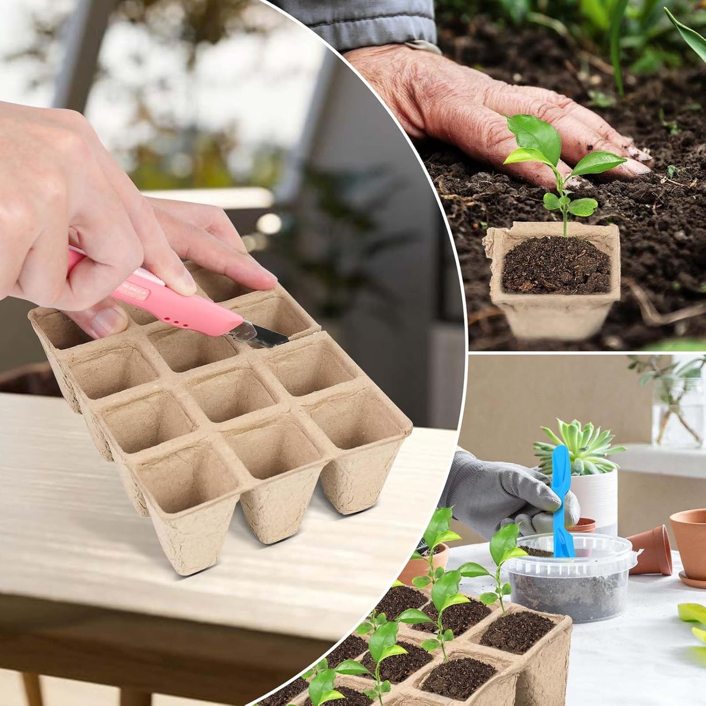 10 Packs Seedling Starter Trays, 120 Cells Biodegradable Seed Starter 