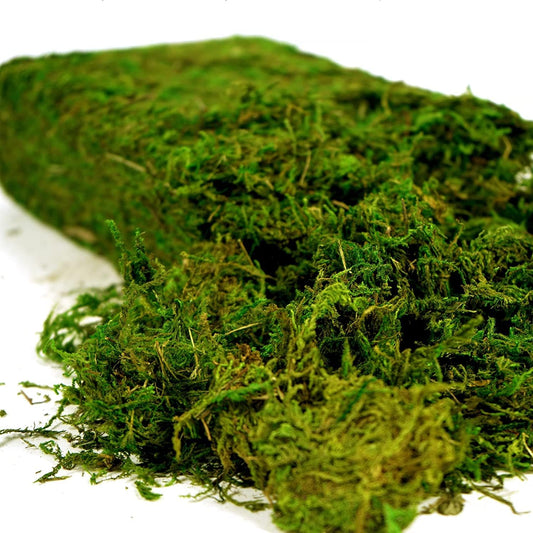 Artificial Moss 16oz – Fake Moss for Crafts, Fairy Gardens, Wedding & 