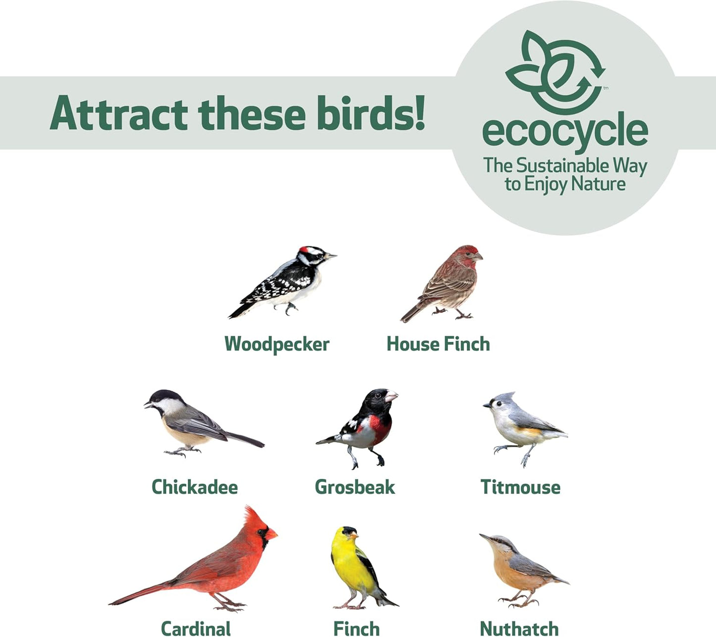 Mesh Morsels Recycled Plastic Mesh Bird Feeder for Wild Birds and Outd