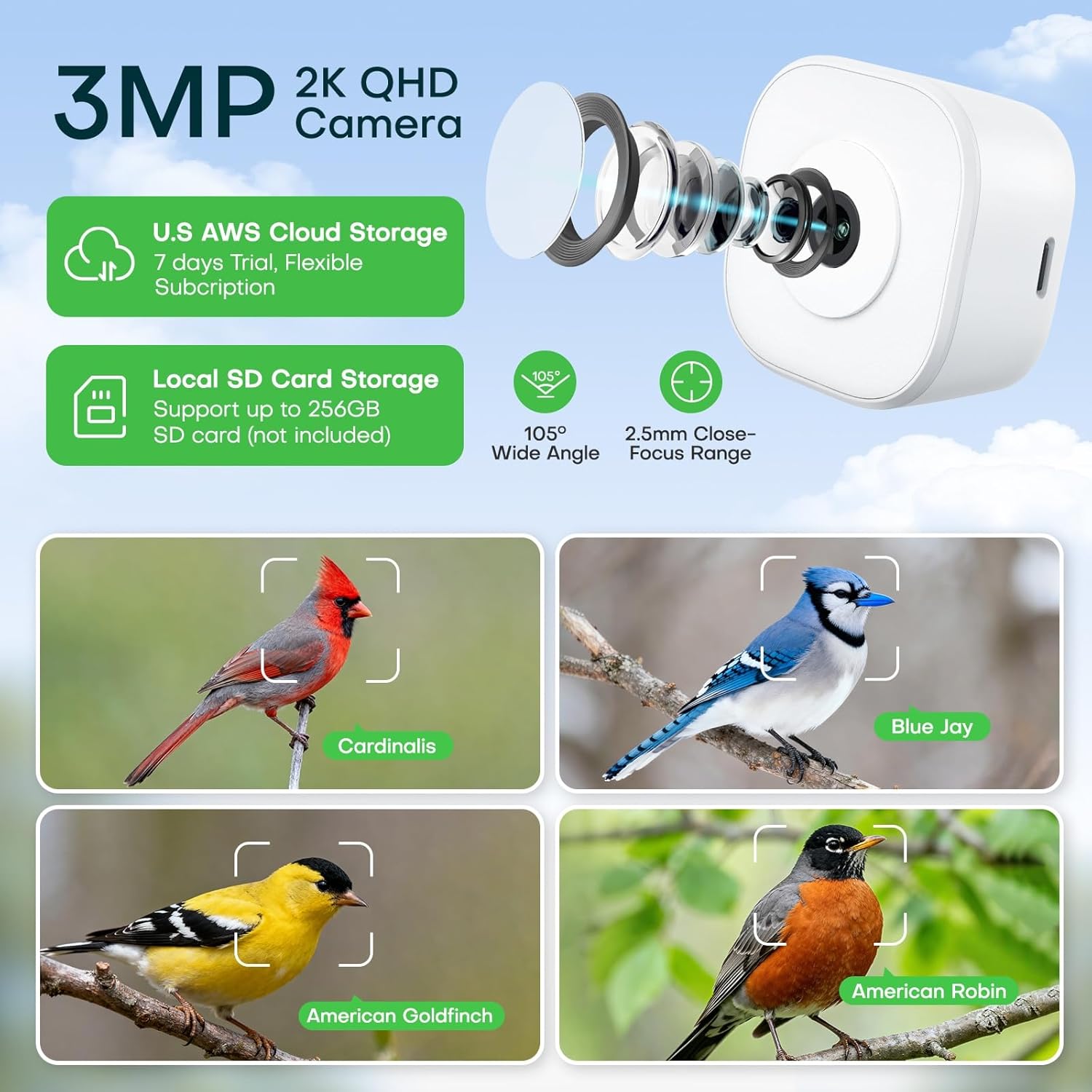 Smart Bird Feeder 2K HD 3MP Window Glass Camera Close-up, 2.4G &5Ghz W